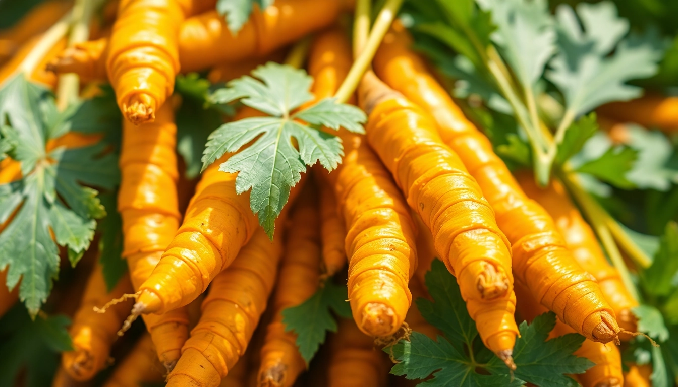 How to Choose and Use Turmeric Finger for Maximum Freshness and Flavor